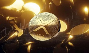 Ripple Glimmers in SEC Case as Fine Proposal Takes a Nosedive