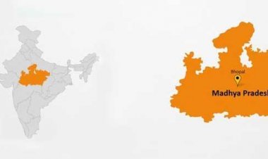 66.87% voting on 29 seats of MP, 4.29% less than last time, Commission released final figures