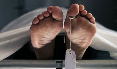 Early Deaths on the Rise Worldwide: Key Reasons Revealed