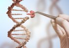 CRISPR: A Gene-Editing Revolution with Ethical Thorns