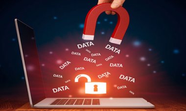 Peak Design Data Leak: Millions of Customers Exposed!