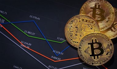 Crypto Market in Downturn: Mt. Gox Transfer, Slowing Investments, and Rising Rates Cited as Triggers