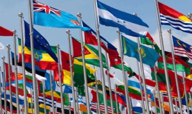 Can Old Dogs Learn New Tricks? Traditional Institutions Face Uncertain Future in Evolving World Order