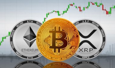 News Report: Crypto Lawyer Sued SEC, Paved Way for XRP Donation to VP Harris