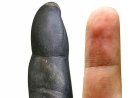 Humans Have More Primitive Hands Than Chimpanzees, Study Finds