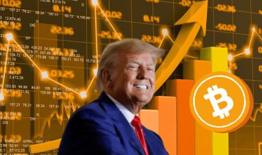 Bitcoin Soars to Record High Amid Speculation Over Trump Victory and Crypto-Friendly Policies