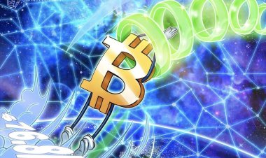 Bitcoin Hits New All-Time High at $76.8K – A Starting Point for Further Gains, Data Suggests