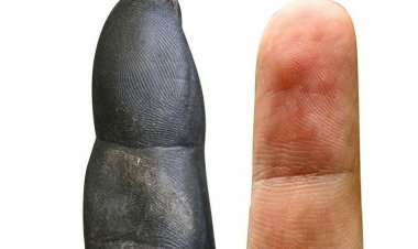 Humans Have More Primitive Hands Than Chimpanzees, Study Finds