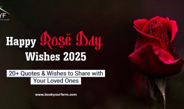 Happy Rose Day 2025: 20+ Quotes & Wishes to Share with Your Loved Ones