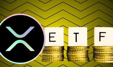 XRP Surges Nearly 8% in a Week, Boosted by Bullish Sentiment and XLS-56 Upgrade