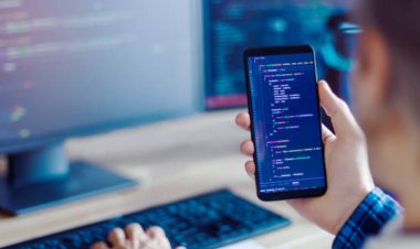 Top Web Design Services in Tampa | Custom Websites for Local Businesses