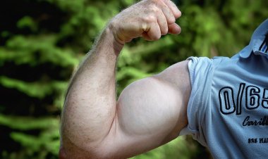 RAD 140 (Testolone): The Powerful SARM Transforming Muscle Growth