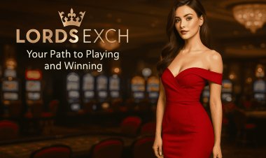 LordsExch - Bet Online Easily with WhatsApp Registration