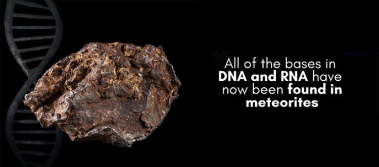 Life's Building Blocks May Have Arrived from Space: All DNA and RNA Bases Found in Meteorites for the First Time