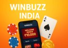 A Complete Guide About Winbuzz Bet Sign Up Process