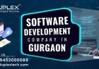 Top 10 Reasons to Hire a Software Development Company in Gurgaon | Duplex Technologies