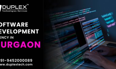 Software Development Company in Gurgaon | Software Company in Gurgaon - Duplex Technologies