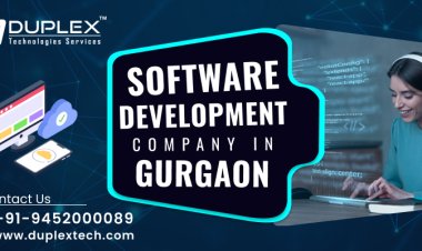 Top 10 Reasons to Hire a Software Development Company in Gurgaon | Duplex Technologies