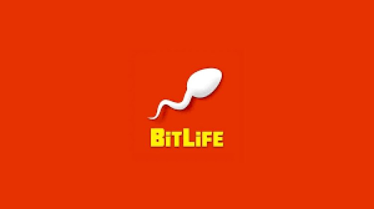How to Enjoy Store Management Gaming: A Deep Dive into Bitlife