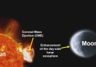 Chandrayaan-2 Observes Effects of the Coronal Mass Ejections from the Sun on the Lunar Exosphere