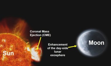 Chandrayaan-2 Observes Effects of the Coronal Mass Ejections from the Sun on the Lunar Exosphere