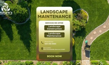 Landscape Construction and Maintenance Services for a Beautiful and Sustainable Property