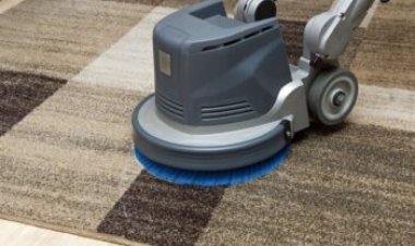 Cleaning Services That Eliminate Pet Hair