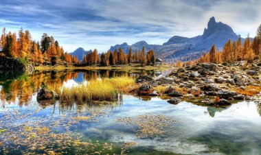 Essential Guide for Planning a Trip to India Successfully