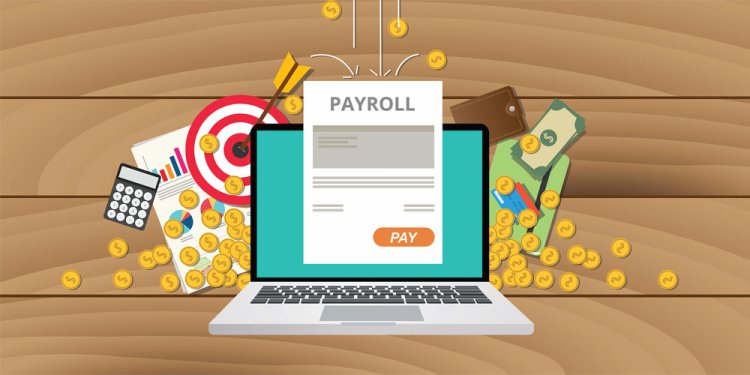 Choosing the Best HR and Payroll Software in India