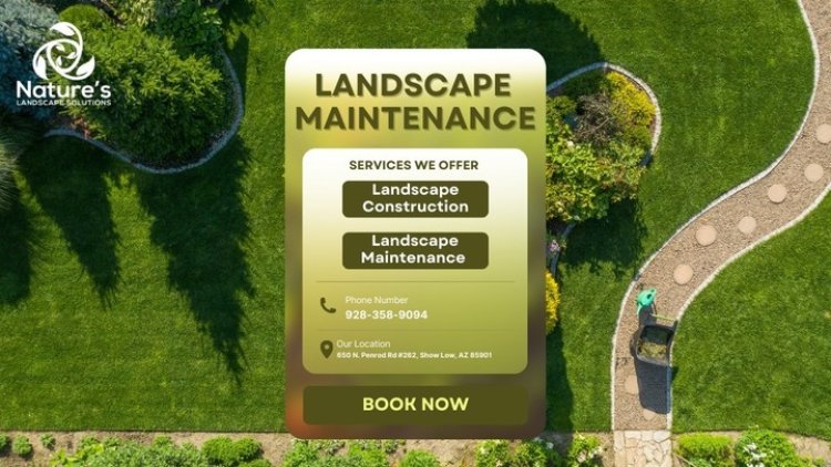 Landscape Construction and Maintenance Services for a Beautiful and Sustainable Property
