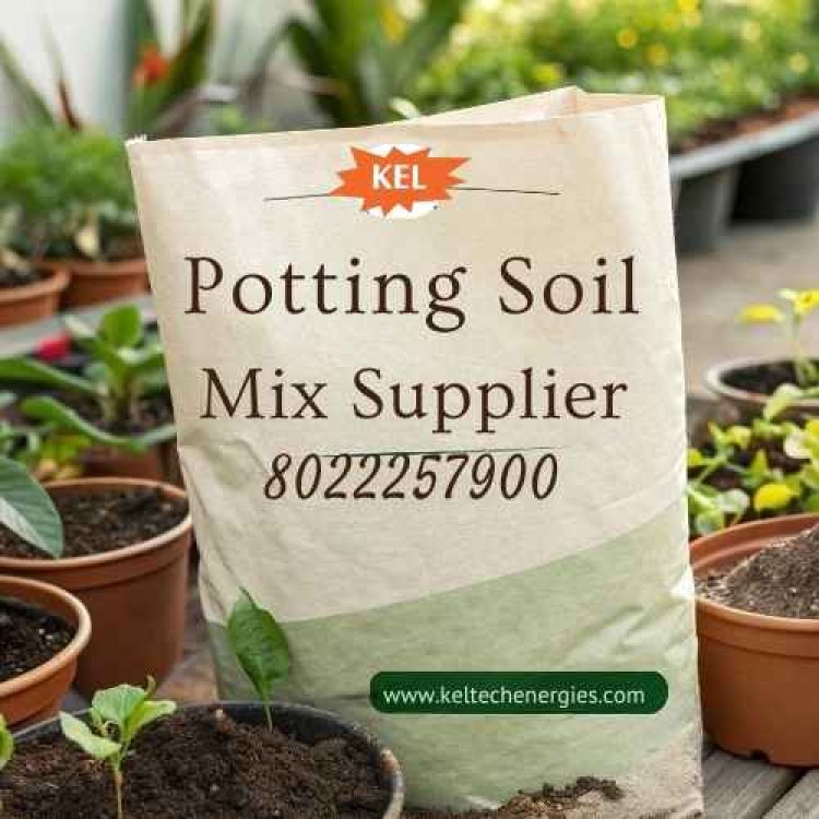 Trusted Potting Soil Mix Supplier for Healthy Growth
