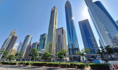 Finding Dubai Municipality Services: Your Complete Local Guide