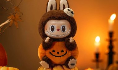 Labubu Doll: A Collectible That Feels Like Family