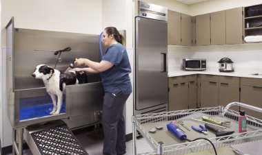 Park Hills Animal Hospital Guide to Preventive Pet Care