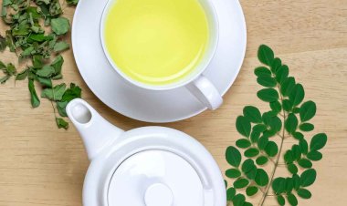 Moringa Leaf Tea: Benefits, Uses, and Daily Wellness