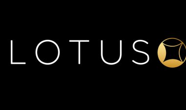 Lotus Exchange ID | Complete Guide to Login, Registration & Games
