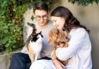 The Ultimate Guide to Pet Wellness for Lifelong Health and Happiness
