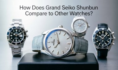 How Does Grand Seiko Shunbun Compare to Other Watches