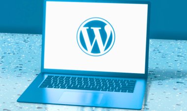 Affordable WordPress Website Development Company India