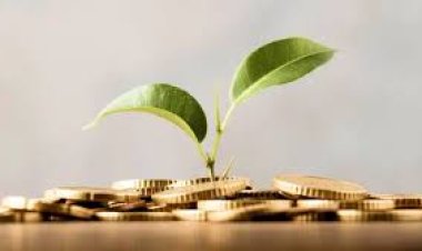 How Market Trends Affect mutual fund in 2026