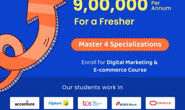 How to Get a High-Paying Entry-Level Job in the Digital Marketing Industry?