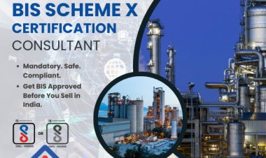 BIS Scheme X Compliance: Role of a Scheme X Consultant