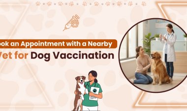 Book an Appointment with a Nearby Vet for Dog Vaccination