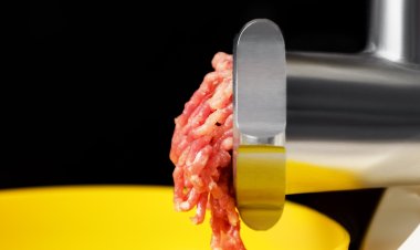 Affordable Kitchen  Appliances for Budget-Conscious Families