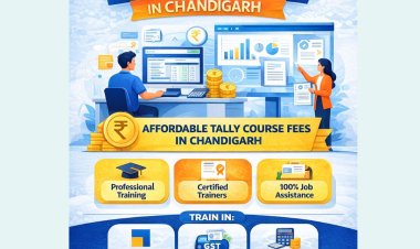 Build a Stable Career in Accounting and Financial Management