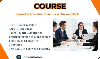 Build a Successful Career in Human Resource Management