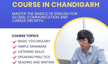 Tips to Identify the Perfect Institute for Effective Language Learning