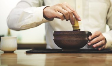 Traditional Chinese Medicine: Bridging Ancient Healing with Modern Wellness