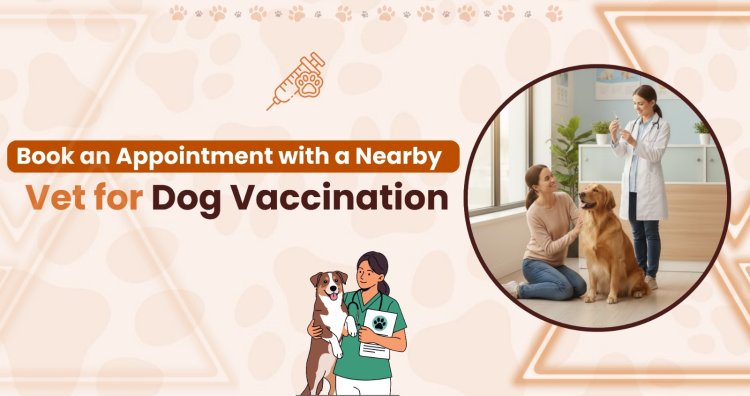 Book an Appointment with a Nearby Vet for Dog Vaccination