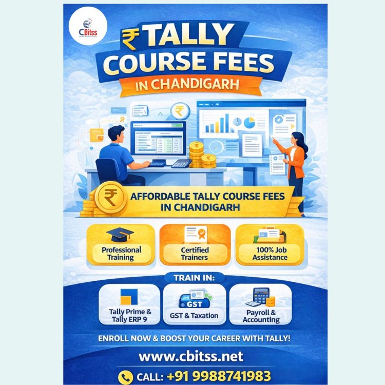 Build a Stable Career in Accounting and Financial Management